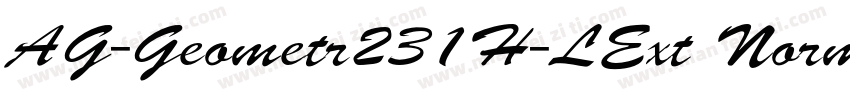 AG-Geometr231H-LExt Normal Regular字体转换